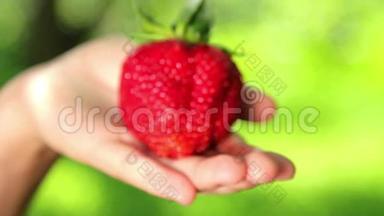 大的，新鲜的，多汁的草莓在人类手中。 手拿着草莓。 草莓特写